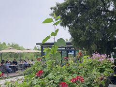 -蘇河湾·新鲁菜·泰山宴(泰山店)