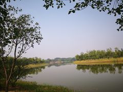-东郊湿地公园