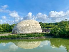 -上海吴淞炮台湾国家湿地公园