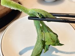 -董记老清泉·北京涮羊肉(河西店)
