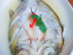 清蒸千岛湖白条鱼-香浙汇(望京店)