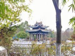 -武汉园博园(武汉自然博物馆)