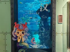 -海合安武汉极地海洋公园