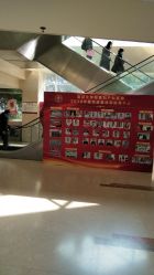 -复旦大学附属妇产科医院(杨浦院区)