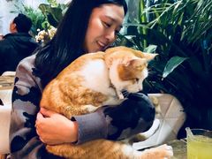 -小时光咖啡馆(北锣鼓巷店)