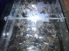 -欢乐牧场海鲜烤肉自助(牡丹园店)