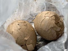 -金盆阿嬷香菇茶叶蛋(玄光店)