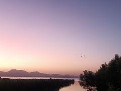 -盐洲岛