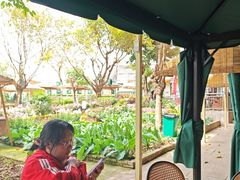 -苏记溪河鲢鱼庄(天府新区店)