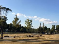 -大宁灵石公园西门票处