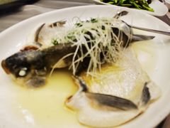 -四海酒家生态粤菜