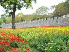 -松山湖梦幻百花洲