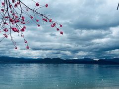 -丽江泸沽湖景区