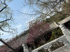 -潭柘寺景区