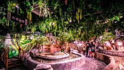 -Zoolung Zoolung动物主题公园(海信广场店)