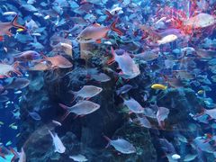 -成都浩海立方海洋公园