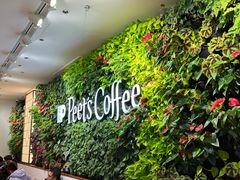 -Peet's Coffee皮爷咖啡(上海长风大悦城店)