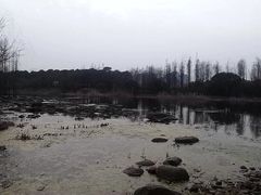-新江湾城公园