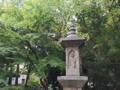-汇龙潭