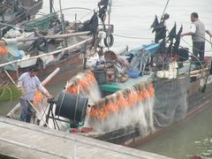 -大湾区中央湿地公园-十九涌