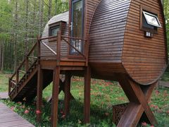 -黄海国家森林公园