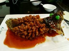 -吴门人家·苏宴宫廷菜(拙政园店)
