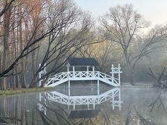 -上海共青森林公园