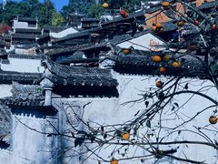 -篁岭景区