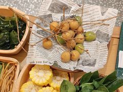 -季季山•云南野生菌火锅(上海首店)