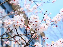 -江南大学(蠡湖校区)
