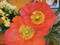 -双季花艺园艺市场(浦东店)