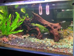 -青木造型HAIR·あおき髪を刈る潮人店