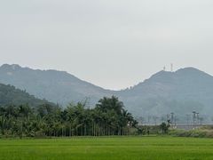 -沙美村