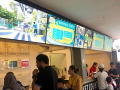 -圣淘沙天际线斜坡滑车