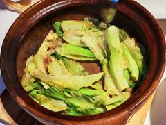 -侨美·唐荔园·40年地道粤菜