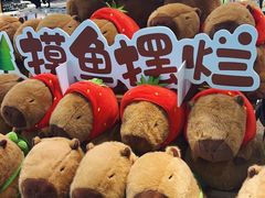 -万达广场(福州金融街店)