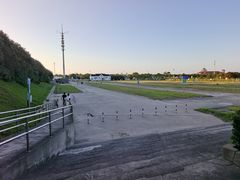-碧海金沙