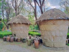 -金山农民画村-枫泾波兰倒置屋