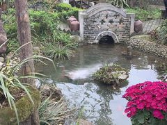 景观位-青城甲(青城山店)