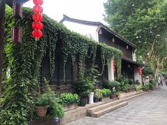 -运河游船(武林门码头)