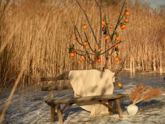 -野鸭湖国家湿地公园