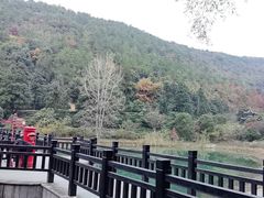 -九龙潭景区