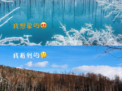 -青池