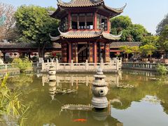-碧江金楼