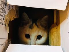 -2烧烤串·秘制鲫鱼