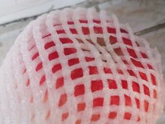 -百果园PAGODA(和泓四季店)