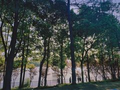 -美兰湖景区