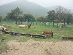 android_upload_pic-西安秦岭野生动物园