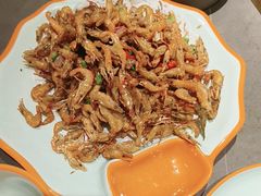 -向外鱼乐·土菜·虹鳟鱼