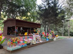 -长白岛森林公园